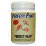 Perfekt plant